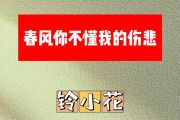 春风你不懂我的伤悲简谱 铃小花《春风你不懂我的伤悲》简谱E调