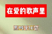 在爱的歌声里简谱 黑鸭子组合《在爱的歌声里》简谱C调