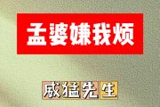 孟婆嫌我烦简谱 威猛先生《孟婆嫌我烦》简谱D调