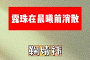 露珠在晨曦前消散简谱 鞠婧祎《露珠在晨曦前消散》简谱降B调