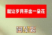 就让岁月开出一朵花简谱 阿朵云《就让岁月开出一朵花》简谱升C调