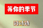 等你的季节简谱 刘诗诗《等你的季节》简谱升F调