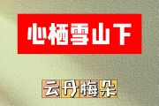 山栖雪山下简谱 云丹梅朵《山栖雪山下》简谱降A调