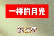 一样的月光简谱 徐佳莹《一样的月光》简谱降A调